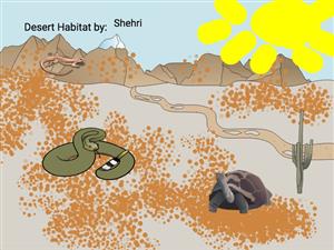 desert